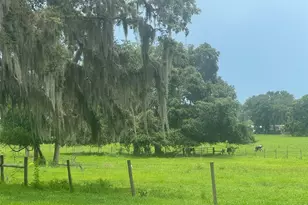 11522 Dead River Rd, Tavares, FL 32778 - Photo 15