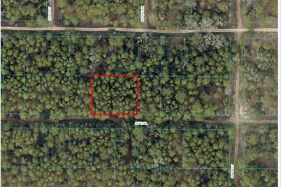 Sw 19th Place, Ocala, FL 34481 - Photo 3