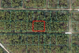 SW 19th Pl, Ocala, FL 34481 - Photo 1