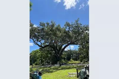 411 Alibrandi Road, Leesburg, FL 34748 - Photo 39