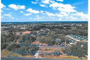 411 Alibrandi Rd, Leesburg, FL 34748 - Photo 1