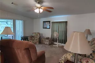 52 Outlet Dr, Lake Panasoffkee, FL 33538 - Photo 43