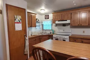 52 Outlet Dr, Lake Panasoffkee, FL 33538 - Photo 39