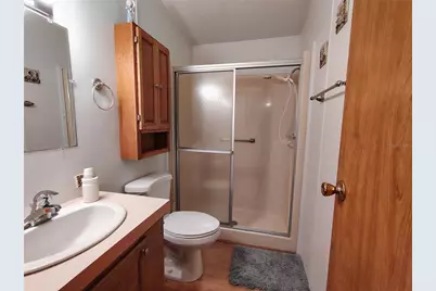 52 Outlet Drive, Lake Panasoffkee, FL 33538 - Photo 29