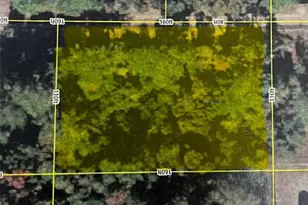 00 NE 201 St Pl, Fort Mc Coy, FL 32134 - Photo 1