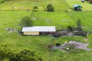 1877 C 478A, Webster, FL 33597 - Photo 9