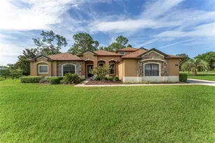 21312 Marsh View Ct, Clermont, FL 34715 - Photo 1