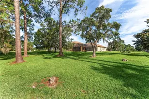 21312 Marsh View Ct, Clermont, FL 34715 - Photo 17