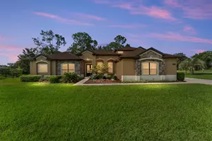 21312 Marsh View Ct, Clermont, FL 34715 - Photo 5
