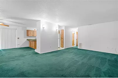 2047 Cr 446, Lake Panasoffkee, FL 33538 - Photo 7