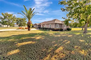 18139 Great Blue Heron Dr, Groveland, FL 34736 - Photo 61