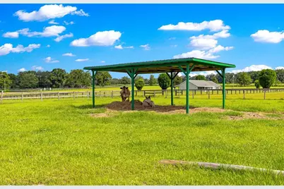 12345 NE 14th Avenue, Anthony, FL 32617 - Photo 27