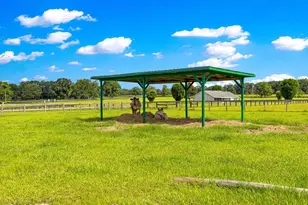 12345 NE 14th Ave, Anthony, FL 32617 - Photo 27