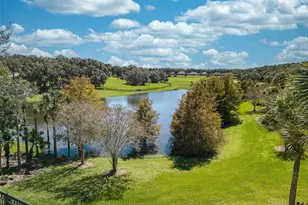 30304 Cheval St, Mount Dora, FL 32757 - Photo 53