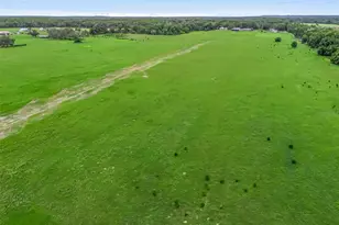 8567 Cr 635, Bushnell, FL 33513 - Photo 43