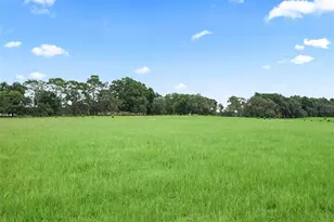 8567 Cr 635, Bushnell, FL 33513 - Photo 39