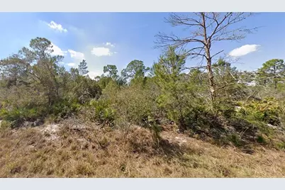 1256 Kumquat Street, Lake Placid, FL 33852 - Photo 9