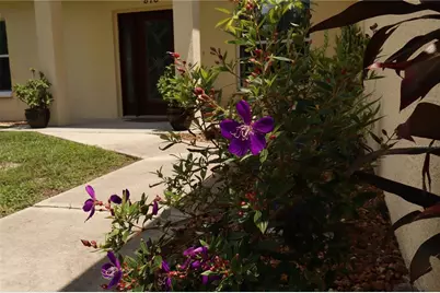 876 Cr 467, Lake Panasoffkee, FL 33538 - Photo 9