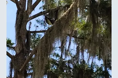 876 Cr 467, Lake Panasoffkee, FL 33538 - Photo 35