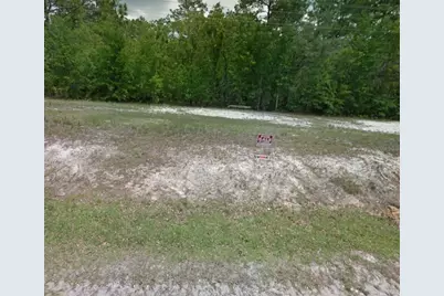 Tbd Masters Road, Middleburg, FL 32068 - Photo 9