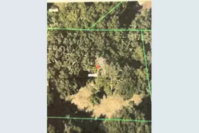 6641 Pope Road, Orlando, FL 32810 - Photo 1