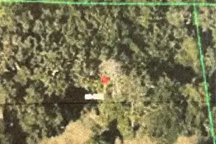 6641 Pope Rd, Orlando, FL 32810 - Photo 1