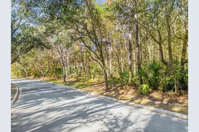Tbd SW 37th Place Road, Ocala, FL 34471 - Photo 3