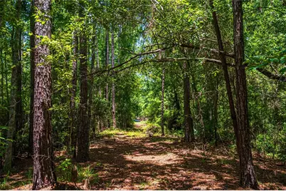 130 SE 7th Street, Palatka, FL 32177 - Photo 9