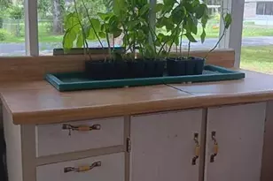 2693 Cr 426F, Lake Panasoffkee, FL 33538 - Photo 15