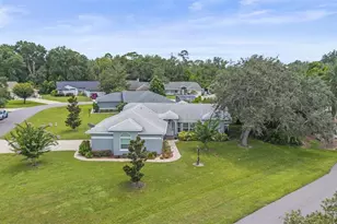 11218 Fountain Lake Blvd, Leesburg, FL 34788 - Photo 47