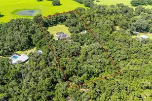 1923 Cr 738, Webster, FL 33597 - Photo 65