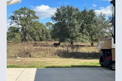 9573 SE 49th Terrace, Webster, FL 33597 - Photo 11