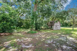 3629 Lake Buynak Rd, Windermere, FL 34786 - Photo 33