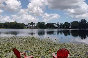 3629 Lake Buynak Rd, Windermere, FL 34786 - Photo 45