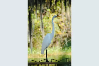 1885 S Westlake Drive, Inverness, FL 34450 - Photo 67