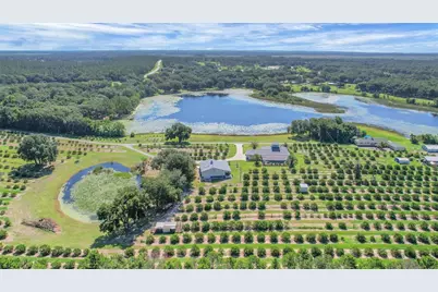 16982 SE Highway 42, Weirsdale, FL 32195 - Photo 5