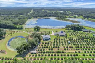 16982 SE Hwy 42, Weirsdale, FL 32195 - Photo 5