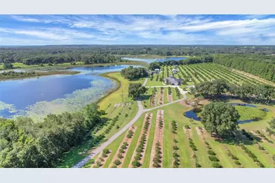 16982 SE Highway 42, Weirsdale, FL 32195 - Photo 75