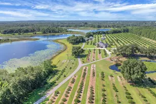 16982 SE Hwy 42, Weirsdale, FL 32195 - Photo 73