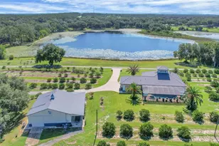 16982 SE Hwy 42, Weirsdale, FL 32195 - Photo 1