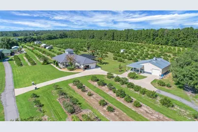 16982 SE Highway 42, Weirsdale, FL 32195 - Photo 77