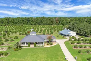 16982 SE Hwy 42, Weirsdale, FL 32195 - Photo 73