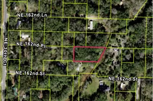 3198 NE 162 Pl, Citra, FL 32113 - Photo 1
