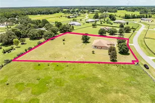 2679 NE 108th Ln, Oxford, FL 34484 - Photo 41