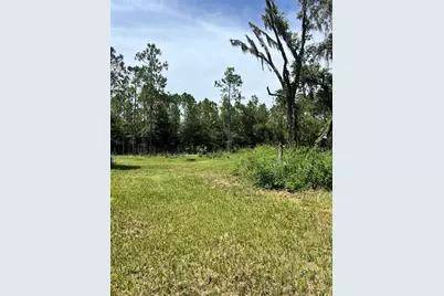 7833 Bay Lake Road, Groveland, FL 34736 - Photo 11