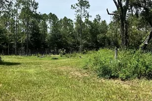 7833 Bay Lake Rd, Groveland, FL 34736 - Photo 11