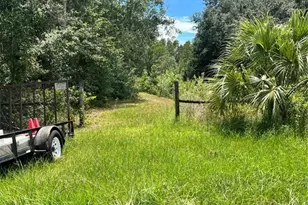 7833 Bay Lake Rd, Groveland, FL 34736 - Photo 7