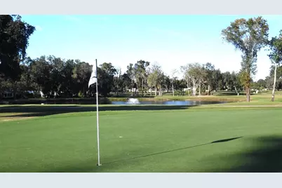 74 N Bobwhite Road, Wildwood, FL 34785 - Photo 43