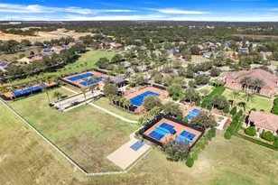 815 Hidden Moss Dr, Groveland, FL 34736 - Photo 47