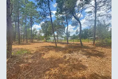 E Pine Street, Paisley, FL 32767 - Photo 1